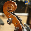 ویولن سل ایستمن  Cello Eastman VC.305 پروفشنال