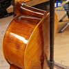 ویولن سل ایستمن  Cello Eastman VC.305 پروفشنال