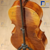 ویولن سل ایستمن  Cello Eastman VC.305 پروفشنال