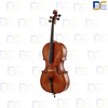 ویلن-سل-4/4-ایستمن-205-Eastman